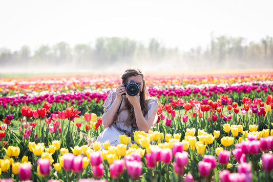 The best backdrop for spring photos