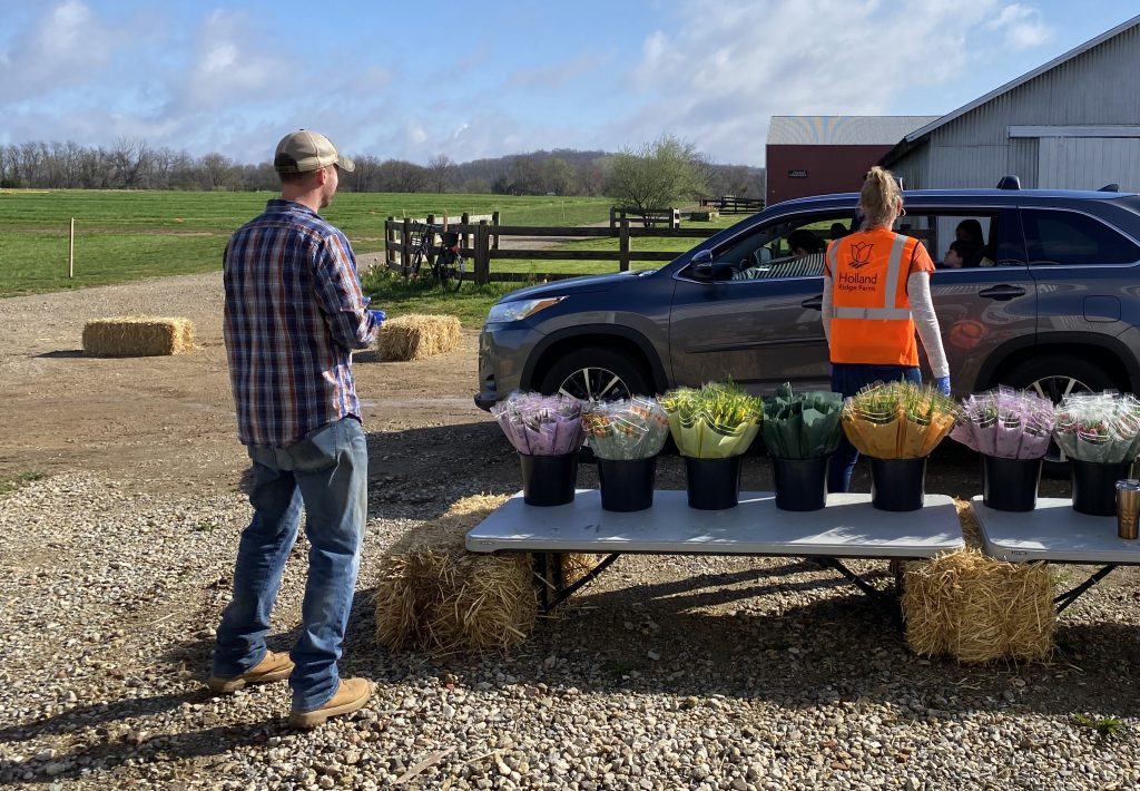 A message from the Jansen family about our tulip trail