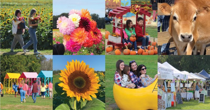 Garden State Fall Flower Festival 25